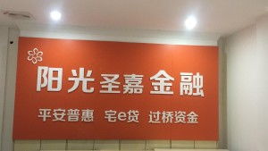 福建省莆田陽光圣嘉金融服務外包公司 專業(yè)金融外包服務的領航者